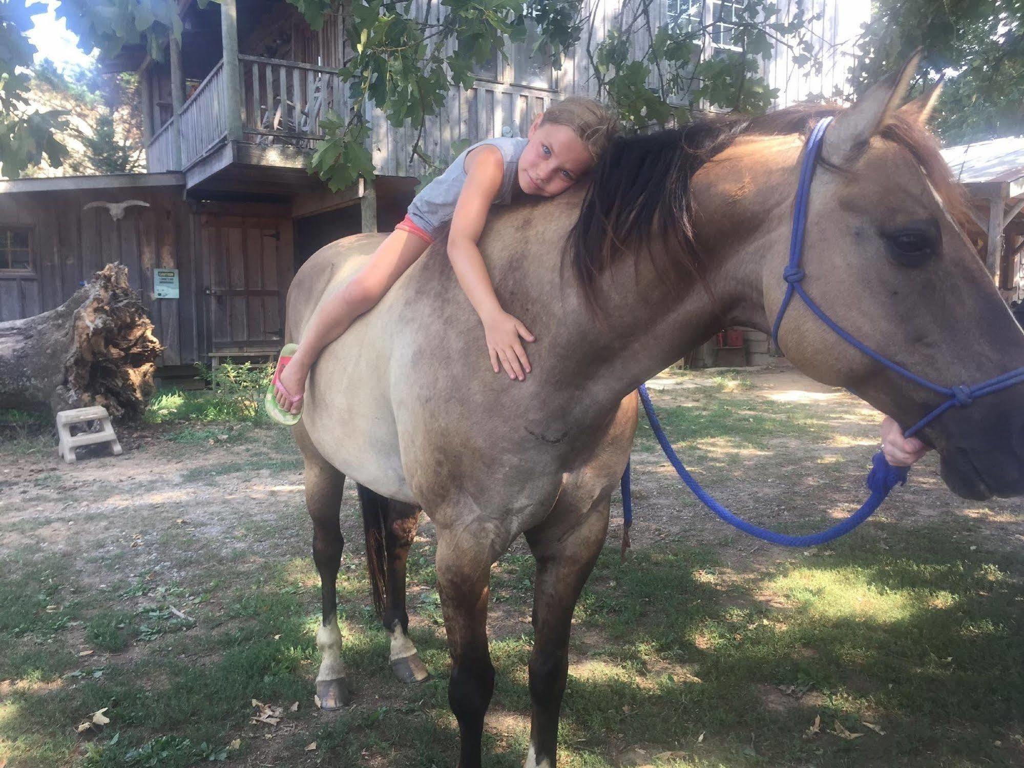 Seventy-Four Ranch Ξενοδοχείο Τζάσπερ Εξωτερικό φωτογραφία