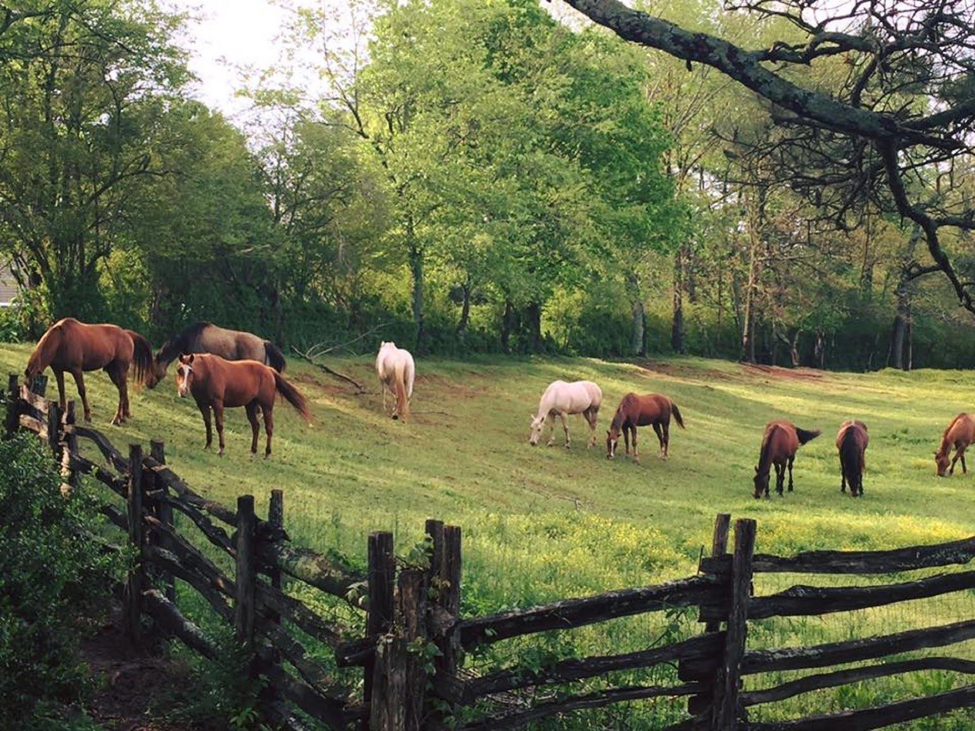 Seventy-Four Ranch Ξενοδοχείο Τζάσπερ Εξωτερικό φωτογραφία